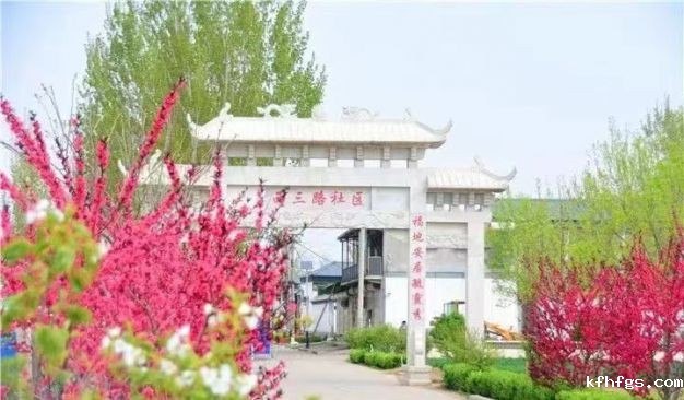 探索党建“1+2+3”治理模式